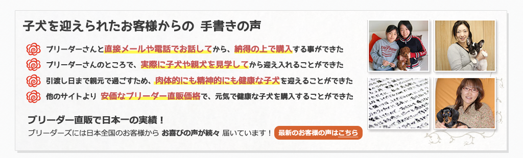 コッカー お客さまの声